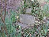 image of grave number 233025